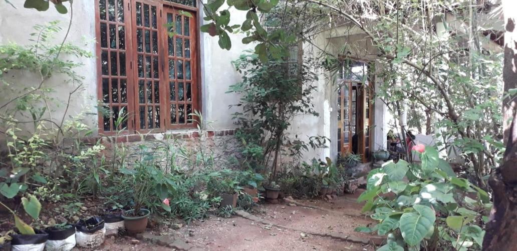 Apartamento Kon Tree Shade Dambulla Exterior foto
