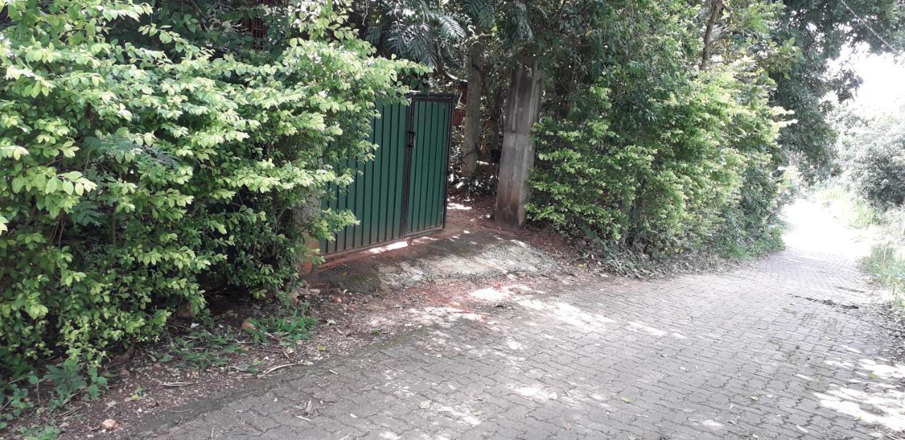 Apartamento Kon Tree Shade Dambulla Exterior foto